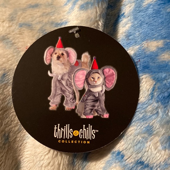 Cat/Small Dog | Elephant Costume 🐘 - Picture 2 of 4